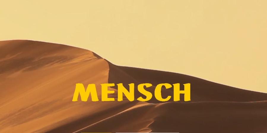MENSCH project 