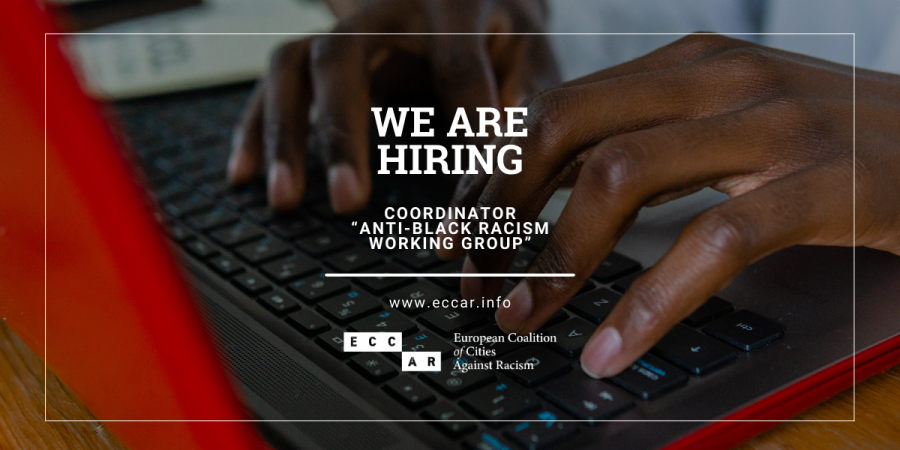 We are Hiring _ Coordinator “anti-Black racism working group”.png