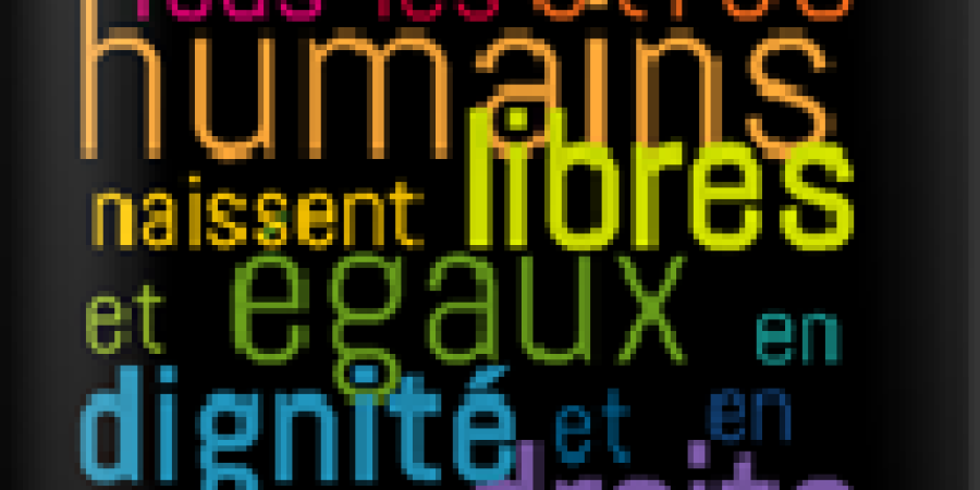 Liege diversites