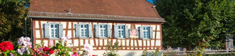 Hochheim am Rhein zugeschnitten_3